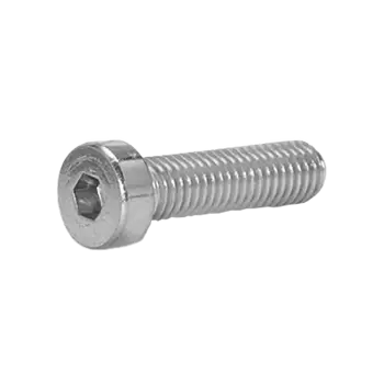 Screw